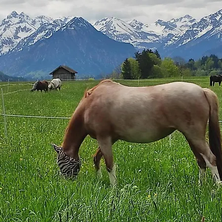 Ponyhof Schoellang Oberstdorf