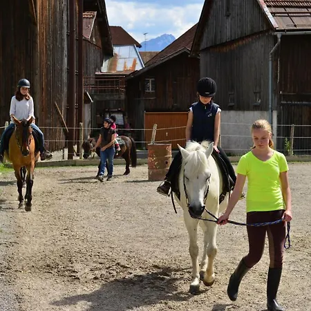 Ponyhof Schöllang *