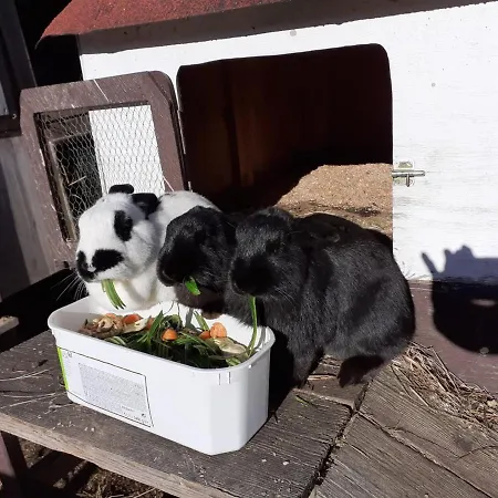 Appartement Ponyhof Schoellang *