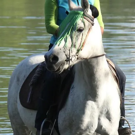 公寓 Ponyhof Schoellang