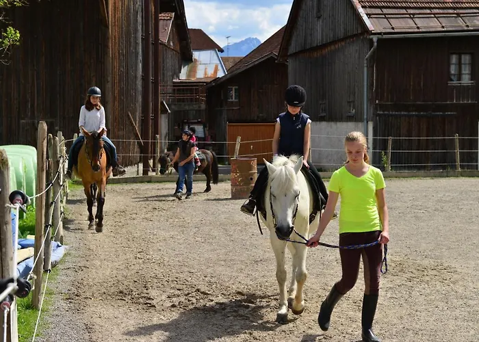 Ponyhof Schoellang *