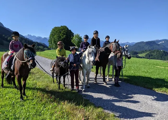 Ponyhof Schoellang