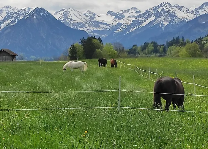 Ponyhof Schoellang 아파트 *