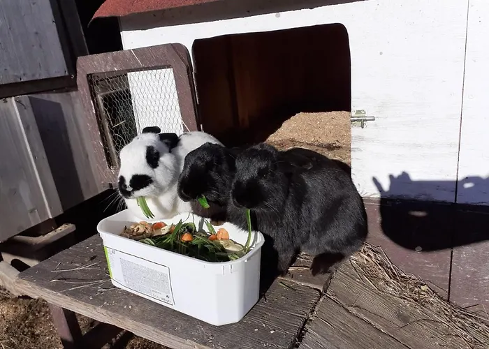 Apartmán Ponyhof Schoellang *